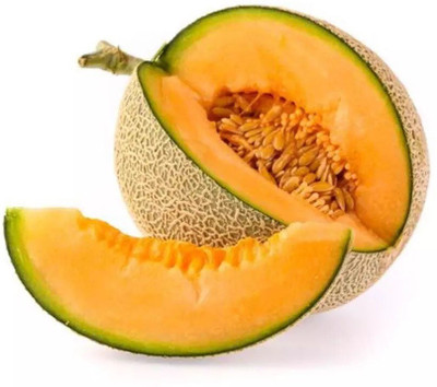 Quentova Muskmelon Cataloupe Melon-VS-9E Seed(200 per packet)