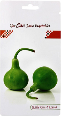 CYBEXIS Bottle Gourd Round Seeds100 Seeds Seed(100 per packet)
