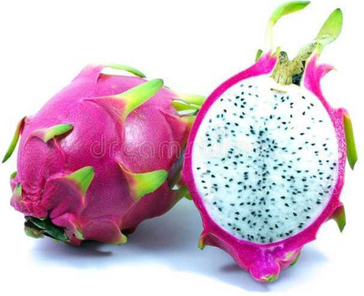 Oliver imported@ hybrid dragon fruit seed Seed(145 per packet)