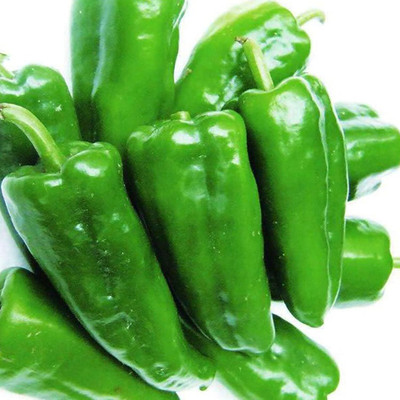 KNESSiN Big Jim Chilli Seed(1250 per packet)