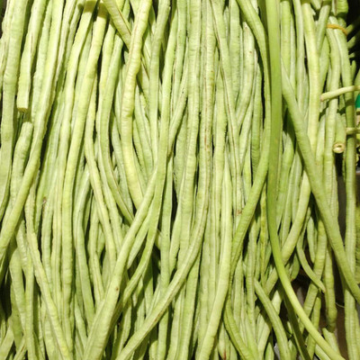 KNESSiN Yard Long Bean Seed(400 per packet)