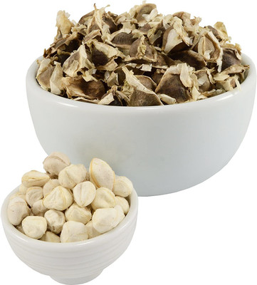 CYBEXIS XL-29 - PKM1 Moringa Oleifera - (1350 Seeds) Seed(1350 per packet)