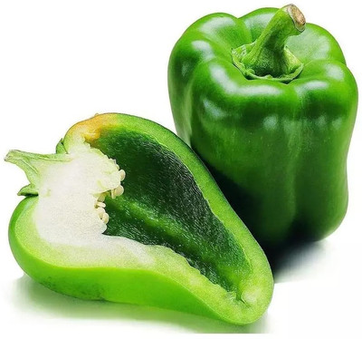 VASUDHA Green शिमला मिर्च Capsicum/Shimla Mirch Seed(1000 per packet)