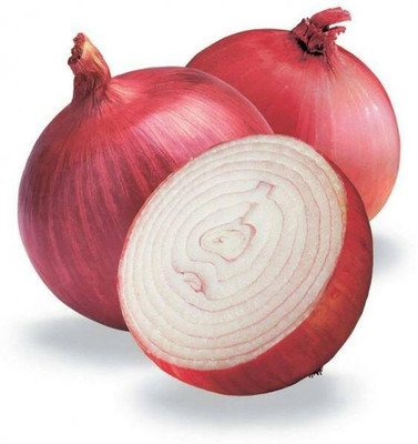 Aro Onion Red, Onion Seed(250 per packet)