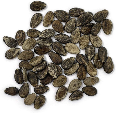 VibeX ATS-67 - Watermelon(Crimson Sweet) - (1350 Seeds) Seed(1350 per packet)