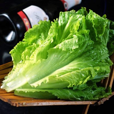 KNESSiN Romaine Lettuce Seed(1250 per packet)