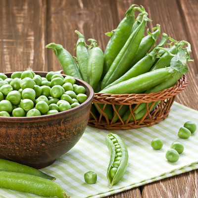 CYBEXIS LX-47 - Snap Pea (Sugar Daddy) - (900 Seeds) Seed(900 per packet)