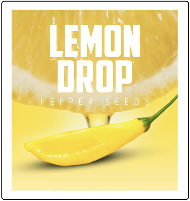Biosnyg Heirloom Hot Aji Lemon Pepper Seeds For Kitchen Gardening-(400 Seeds) Seed(400 per packet)