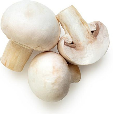 Mozette Organic mushroom herb Seed(15 per packet)