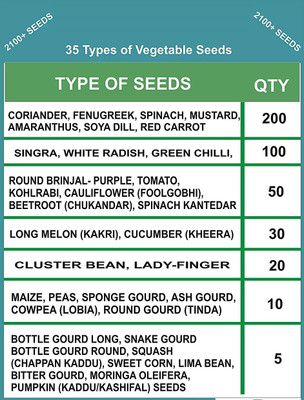 CYBEXIS 35 Varities Of Vegetable Seeds Combo 2100+ Seed(10 g)