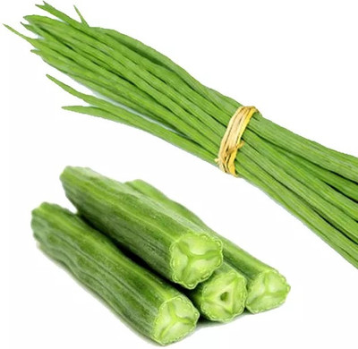 VERL Long Drumstick Sehjan Moringa Oleifera Seed(100 per packet)
