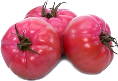 Biosnyg Hybrid Giant Pink Tomato Seeds For Hydrophonics - (4000 Seeds) Seed(4000 per packet)