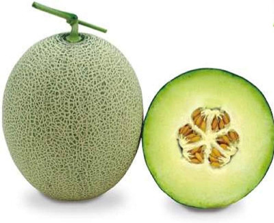 BDSresolve Green Muskmelon seeds Pack of 11 Seed(11 per packet)