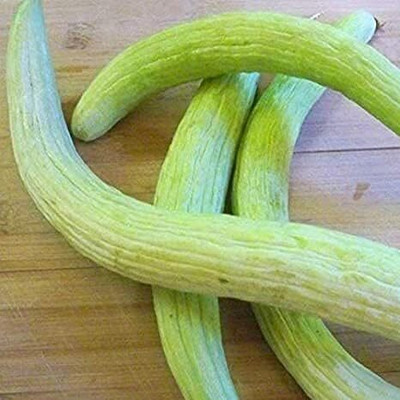Qualtivate PUA-2A Armenian Yard-Long Melon Cucumber Seed(200 per packet)