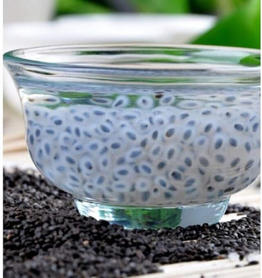 LPR SABJA , BASIL SEEDS Seed(50 g)