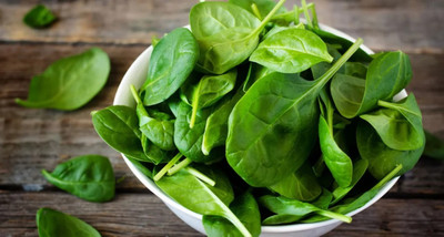 MYLAWN Organic Palak Spinach Seed(500 per packet)