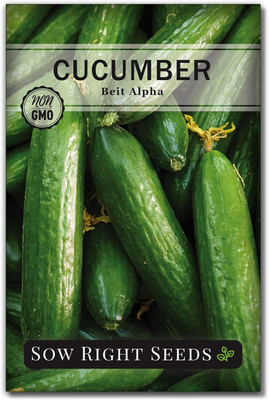 Qualtivate PUA-7A Beit Alpha Cucumber Seeds Seed(300 per packet)