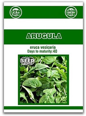 CYBEXIS NBIR-8 - Organic Arugula (Slow Bolt) - (250 Seeds) Seed(250 per packet)