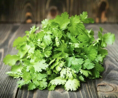 ZIXA CORIANDER CILANTHRO Seed(500 per packet)