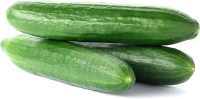 VibeX ® VLR-336 Beit Alpha Burpless Hybrid Cucumber Seeds Seed(200 per packet)