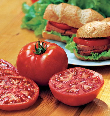 Biosnyg Hybrid Steak Sandwich Tomato Summer Vegetable Seeds For Planting - (2000 Seeds) Seed(2000 per packet)