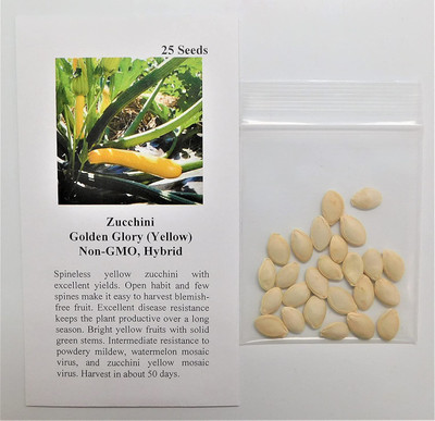 VibeX XLR-74 - Zucchini Golden Glory (Yellow) - (75 Seeds) Seed(75 per packet)