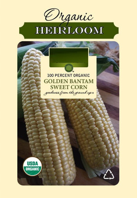 Qualtivate ICRA-9A Golden Bantam Corn Seed(400 per packet)