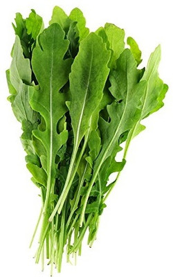 KNESSiN Herb Seed(200 per packet)