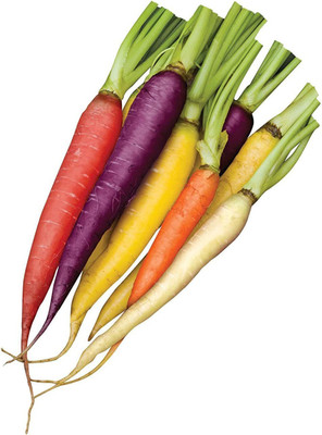 CYBEXIS VVI-38 - Rainbow Blend Carrot - (250 Seeds) Seed(250 per packet)