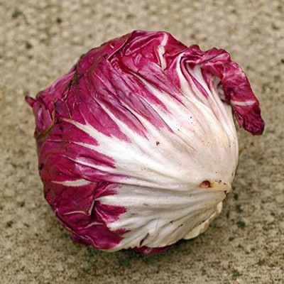 VibeX ® VXI-803 Red Purple Italian Cabbage Seed(200 per packet)