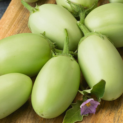 KNESSiN Green Envy F1 Hybrid Brinjal Seeds-[2gm] Seed(500 per packet)