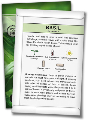 Qualtivate VXI-80 Genovese Sweet Large Leaf Basil Seed(1000 per packet)