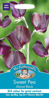 CYBEXIS Flower - Sweet Pea - Almost Black Seed(1 g)