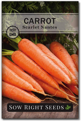 VibeX PUAS-94 - Scarlet Nantes Carrot - (2250 Seeds) Seed(2250 per packet)