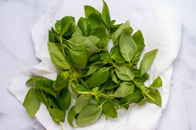Qualtivate TLX-20 French thin leaf basil Seed(1000 per packet)