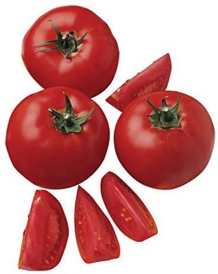 Quentova Early Girl Slicer Tomato 2.5gm Seeds Seed(1000 per packet)