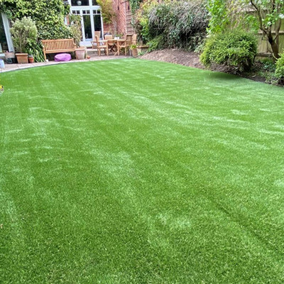 SeeGreen Carpet grass seeds for home garden, lawn grass seeds for home garden Seed Seed(16000 per packet)