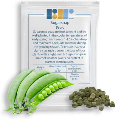 CYBEXIS PUAS-60 - Sugar Snap Pea - (100 Seeds) Seed(100 per packet)