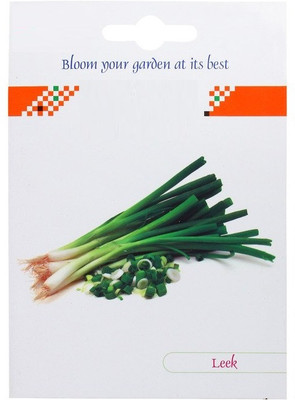 KNESSiN Leek Seed(500 per packet)