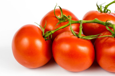 Quentova ACE 55 VF TOMATO-VXI-10K Seed(250 per packet)