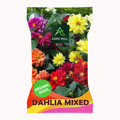 AGRO MILL DAHLIA MULTIFLORA DOUBLE MIXED PREMIUM QUALITY FLOWER Seed(20 per packet)