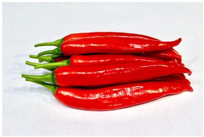 Farmonix Big Red Chili Seed(300 per packet)