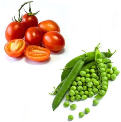 Garden Basket Hubb Tomato and PEAS (MATAR) Vegetable Seed(100 g)