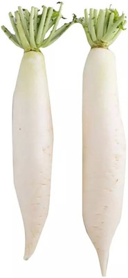 VINTI Mooli radish Vegetable Seed(300 per packet)