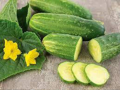 GROWN Hybrid Cucumber Kheera Seed - 20 Seed(20 per packet)