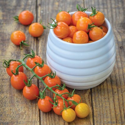 KNESSiN India Honeycomb Hybrid Golden Orange Cherry Tomato-{800 Seeds} Seed(800 per packet)