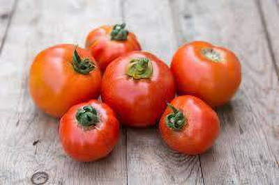 XOLDAA hybrid f1 quality tomato seeds Seed(35 per packet)