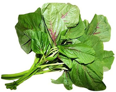 Qualtivate RES-4A Tasman Spinach (Palak) Seed(300 per packet)