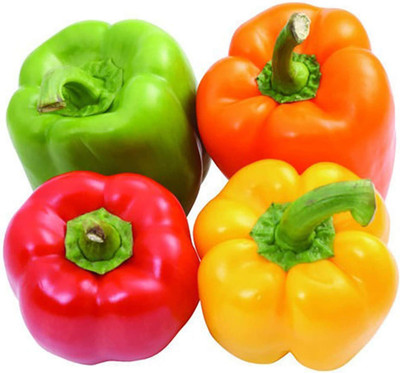 CYBEXIS Mix Sweet Bell Pepper Capsicum Seeds600 Seeds Seed(600 per packet)
