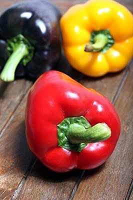 KNESSiN Capsicum Multicolor Seed(50 per packet)